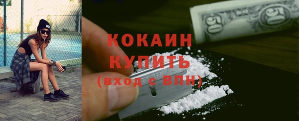 молекула духа Снежногорск