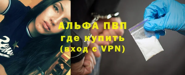 индика Армянск
