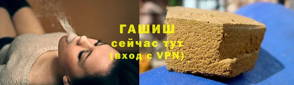 молекула духа Снежногорск