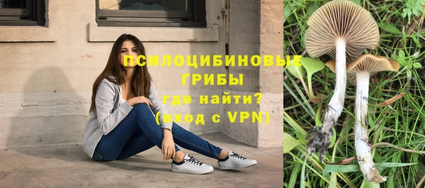 индика Армянск