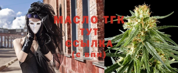 индика Армянск