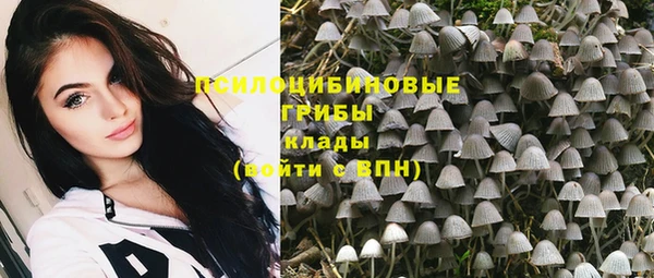 сатива Слюдянка