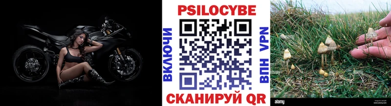 Псилоцибиновые грибы мицелий  Баксан 