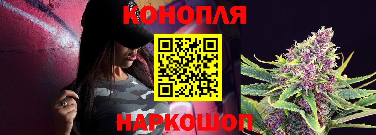 Канабис OG Kush Баксан